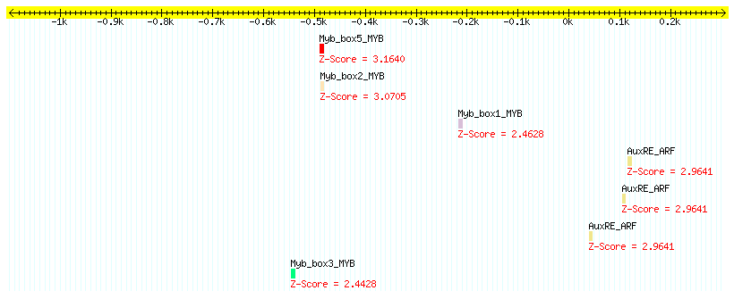 AT1G04550_1000.png