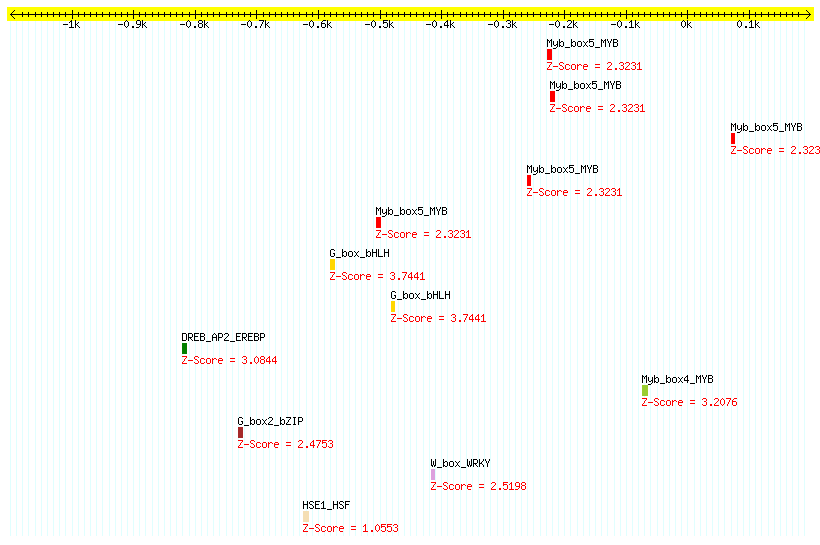 AT1G04690_1000.png