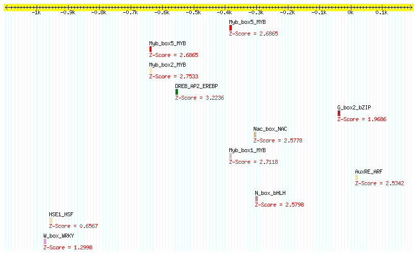 AT1G16610_1000.png
