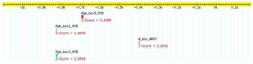 AT1G23800_1000.png