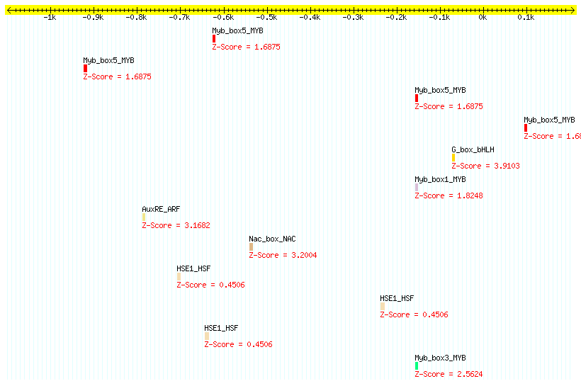 AT1G29310_1000.png