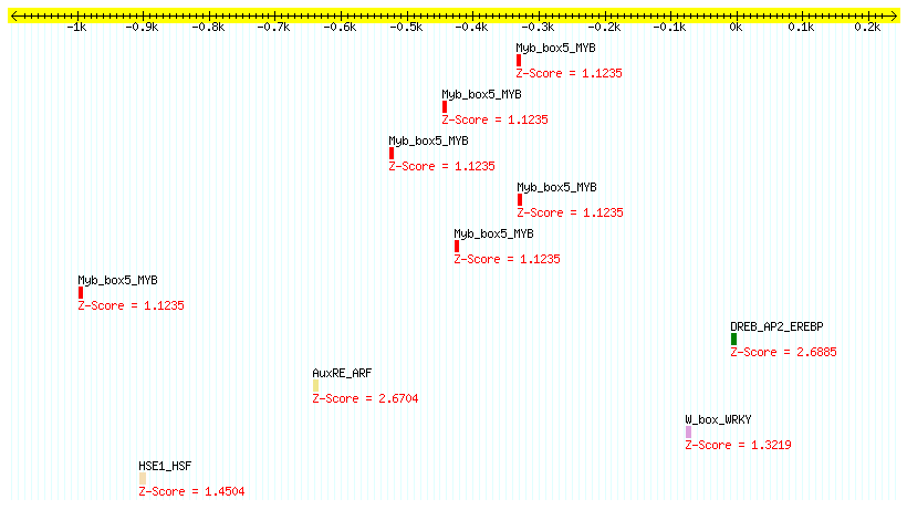 AT1G52740_1000.png