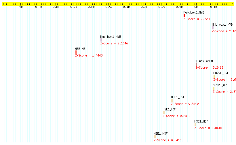 AT1G52870_1000.png