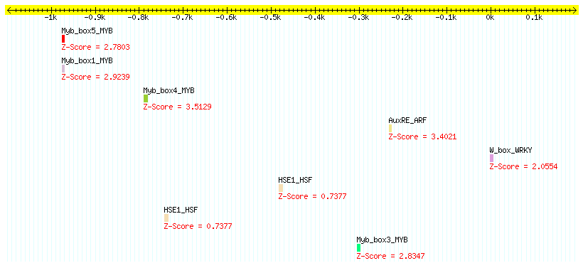 AT1G58360_1000.png