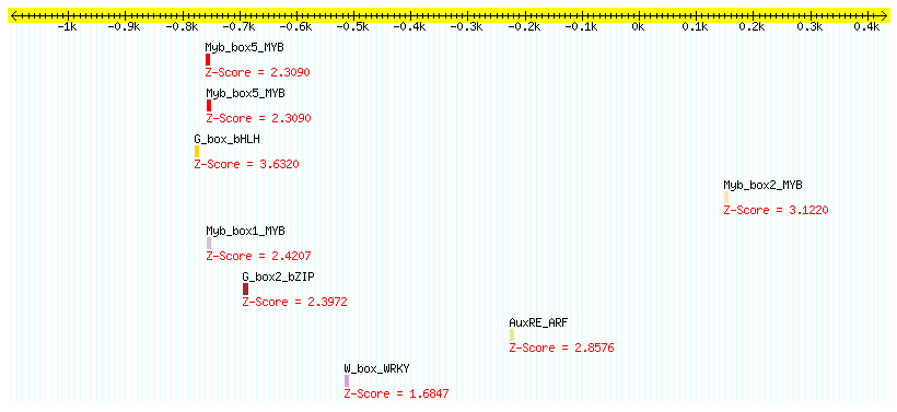 AT1G69360_1000.png