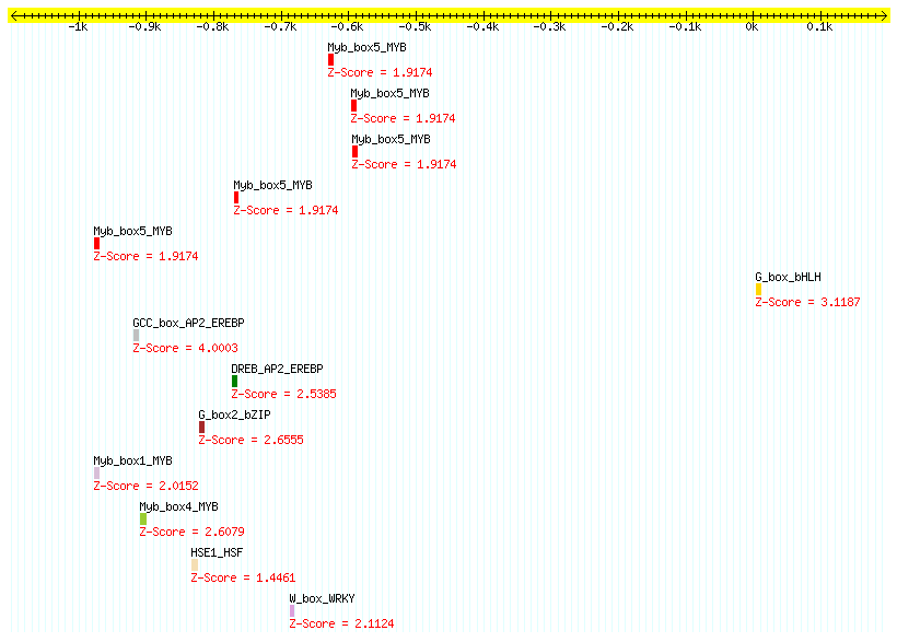 AT2G23110_1000.png