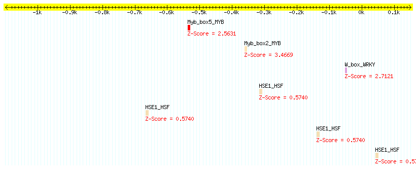 AT2G28400_1000.png