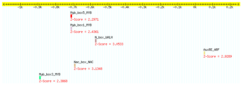 AT2G28690_1000.png