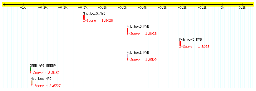 AT2G32920_1000.png