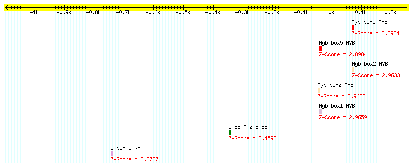AT3G01280_1000.png
