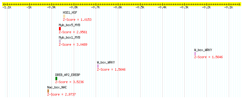 AT3G13310_1000.png