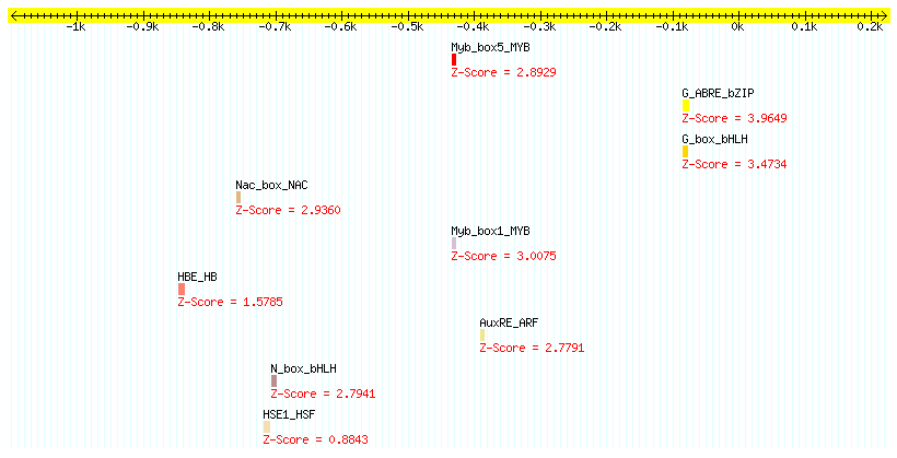 AT3G14440_1000.png