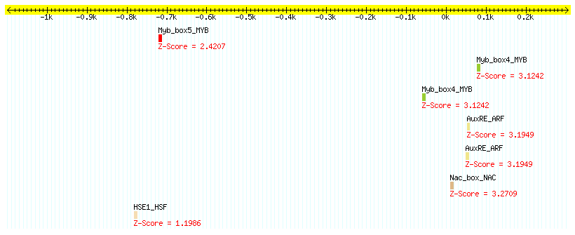 AT3G19100_1000.png