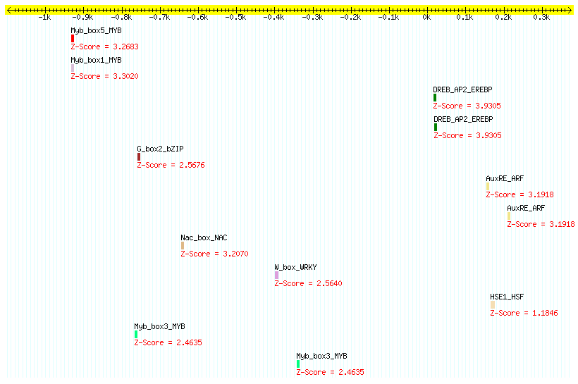 AT3G19930_1000.png