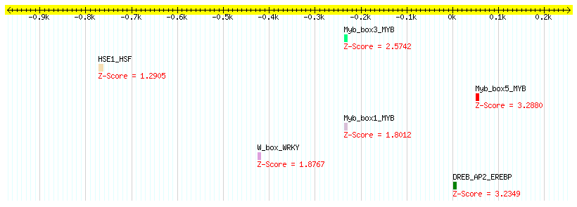 AT3G50740_1000.png
