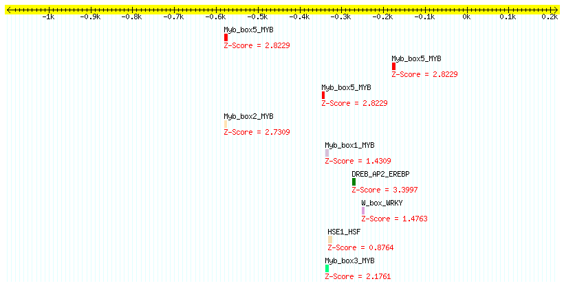 AT4G27960_1000.png