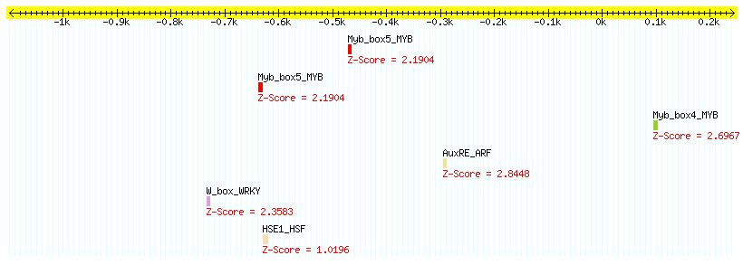 AT4G30270_1000.png