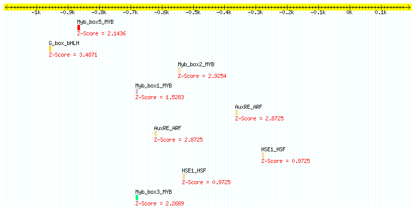 AT4G33150_1000.png