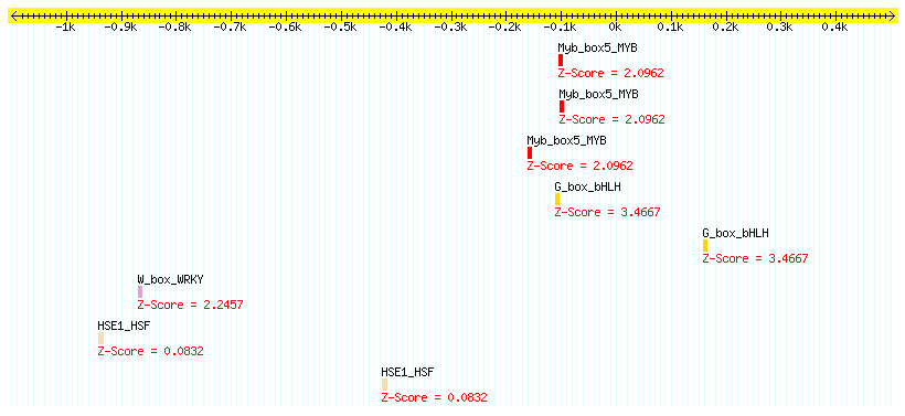 AT4G34860_1000.png