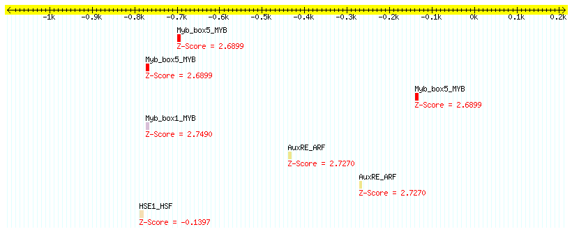 AT4G36690_1000.png