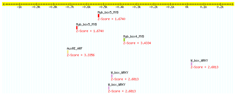 AT4G39830_1000.png