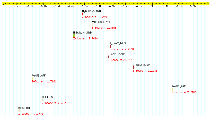 AT4G40060_1000.png