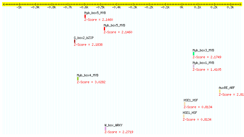 AT5G38895_1000.png