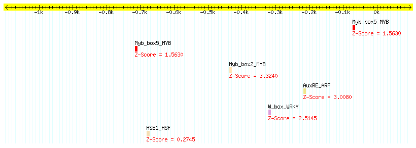 AT5G42010_1000.png