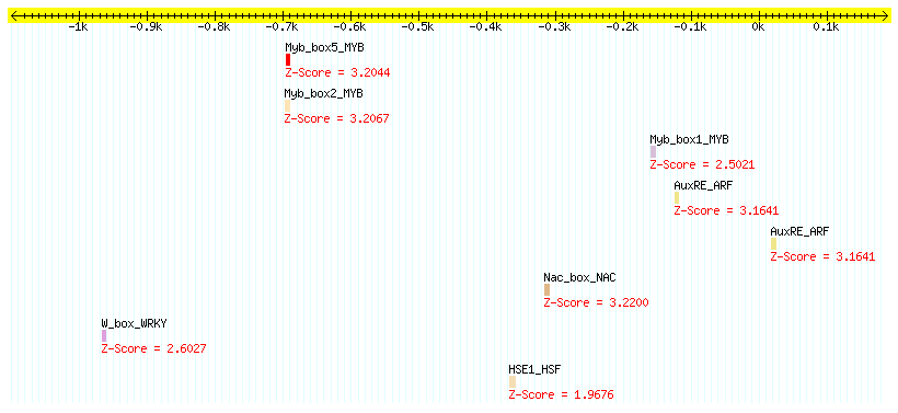 AT5G54230_1000.png