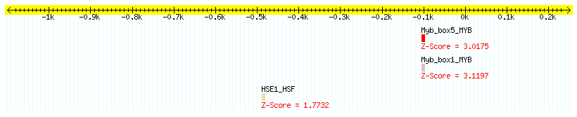 AT5G54270_1000.png