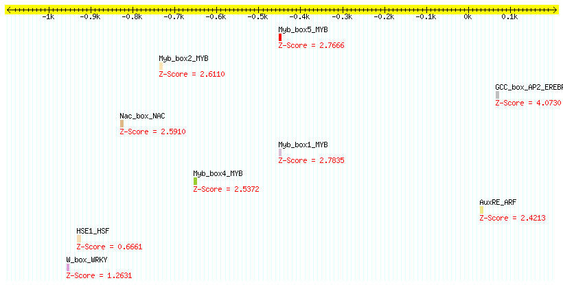 AT5G55190_1000.png