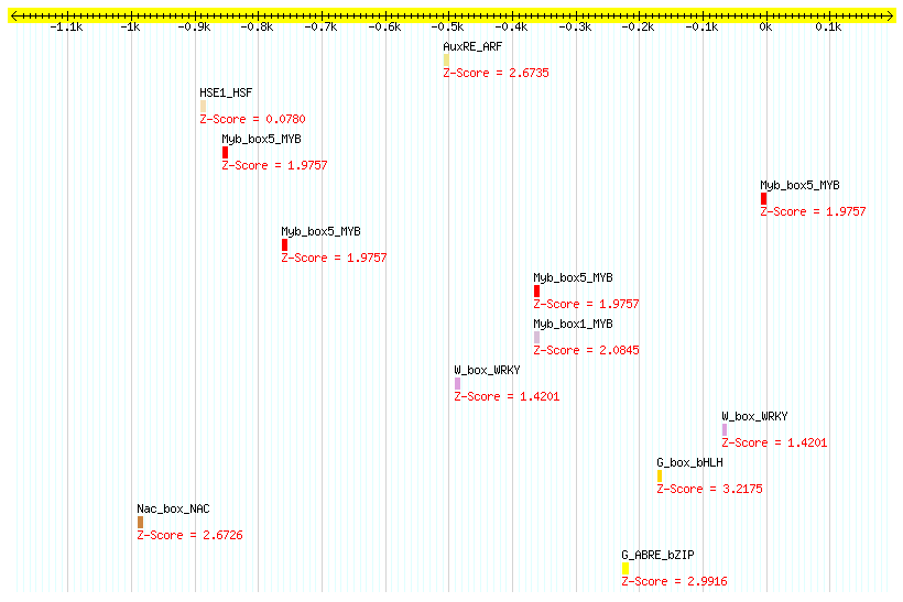 AT5G58650_1000.png