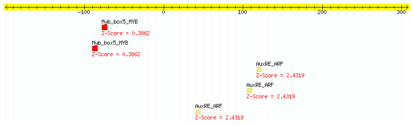AT1G04550_100.png