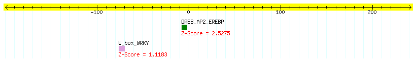 AT1G52740_100.png
