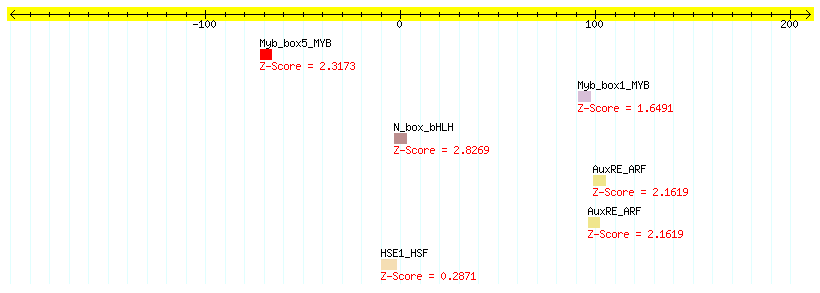 AT1G52870_100.png