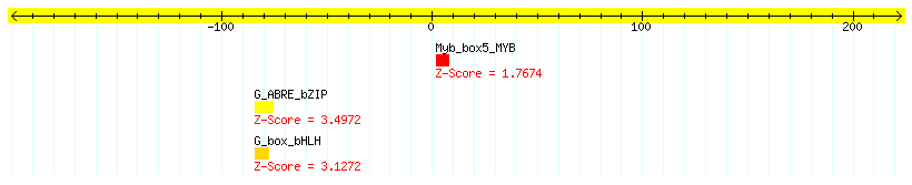 AT3G14440_100.png