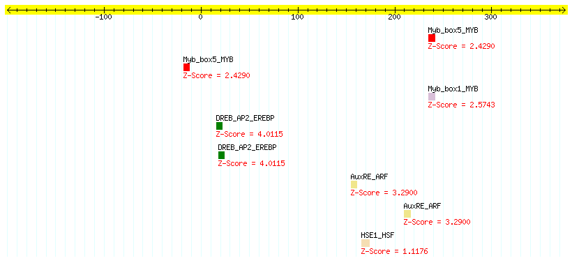 AT3G19930_100.png