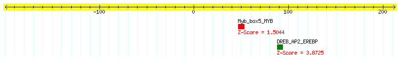 AT3G26520_100.png