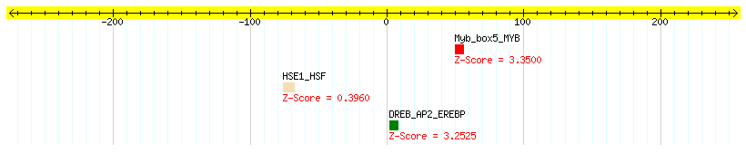 AT3G50740_100.png