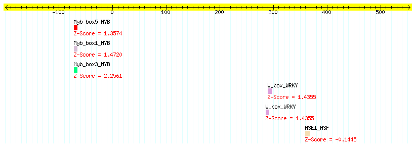 AT3G51370_100.png