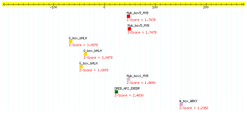 AT3G53180_100.png