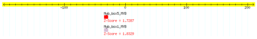 AT3G62290_100.png