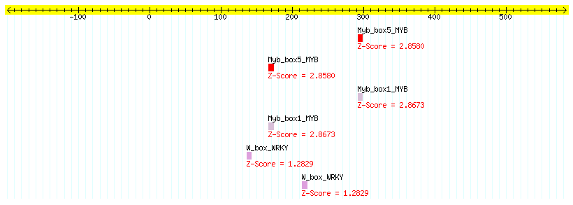 AT4G33430_100.png