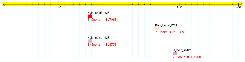 AT5G15490_100.png