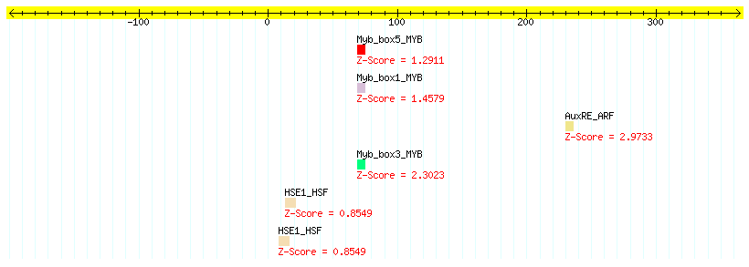 AT5G38895_100.png