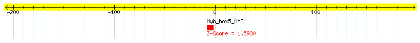 AT5G52020_100.png