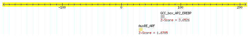AT5G55190_100.png