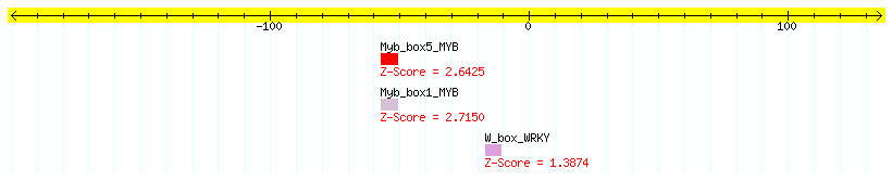 AT5G65010_100.png