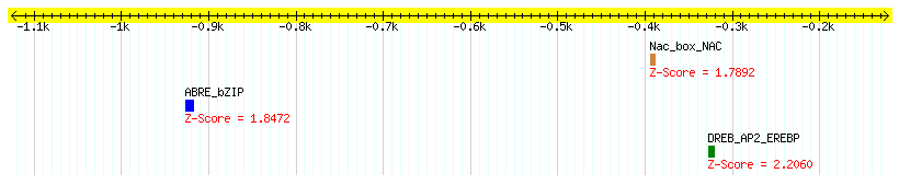 Os03g0141200_1000.png