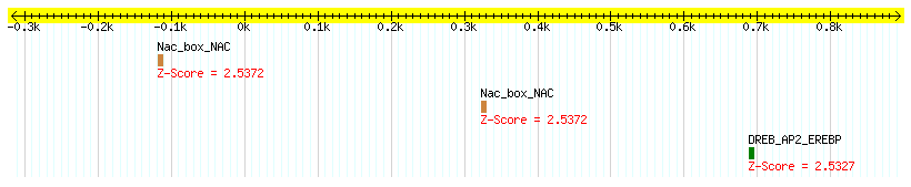 Os04g0307500_1000.png
